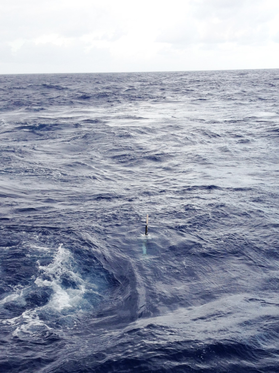 First MOCCA float in the water, in the subtropical Atlantic Ocean